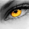 Golden Eye