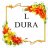 dura2009